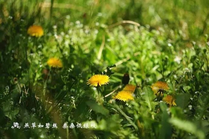 春日温情 润物无声